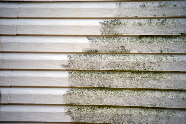 Professional Siding Installation & Repair in Terrebonne, OR